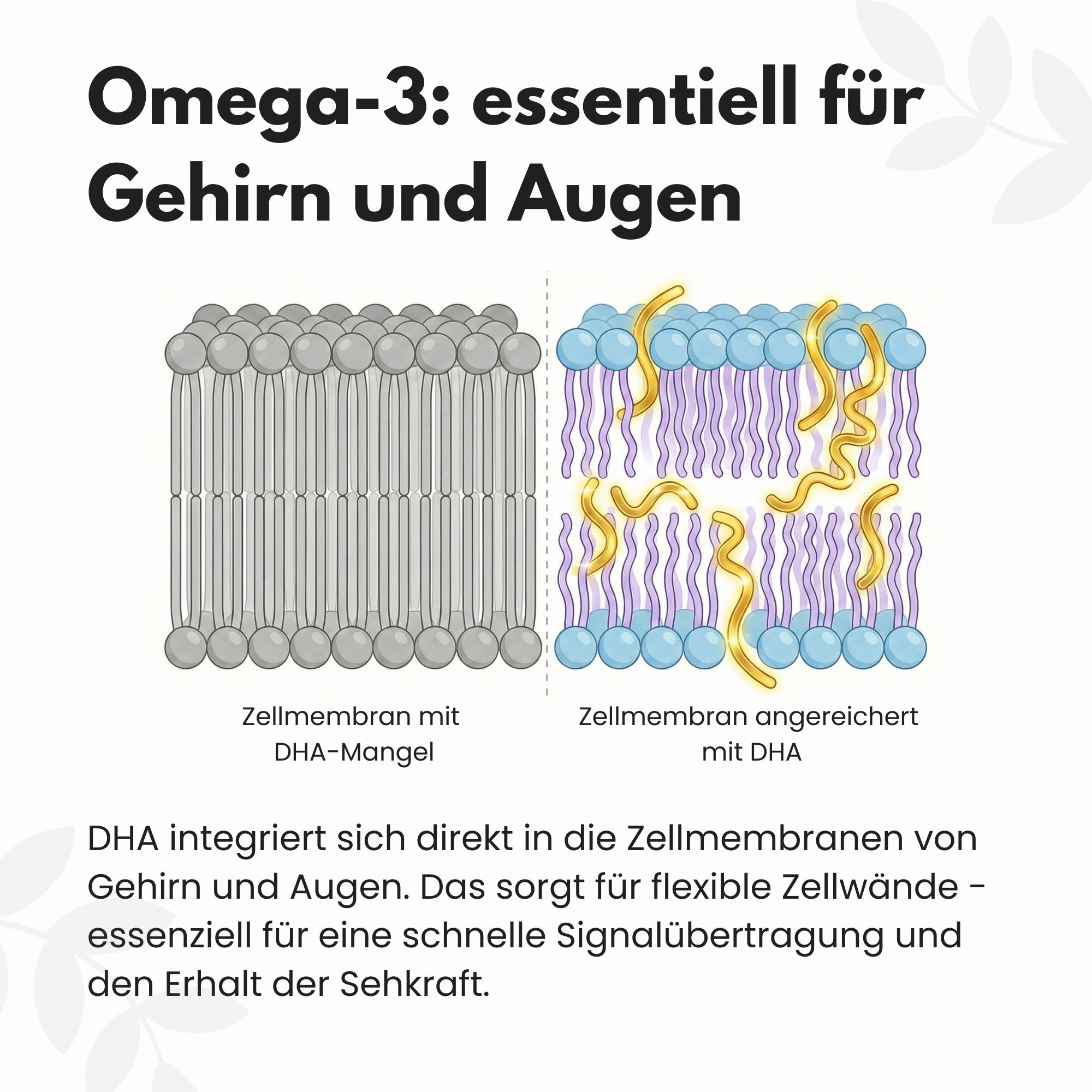 Omega 3 Kapseln aus Algenöl - Vegan