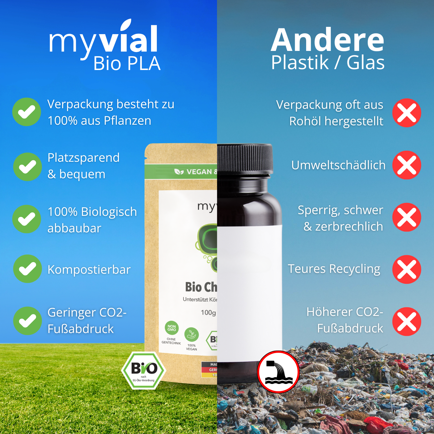 Bio Chlorella Pulver