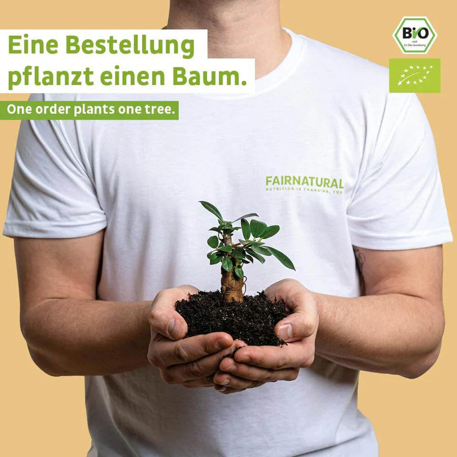 Bio Veganes Proteinpulver Kokos ohne Soja