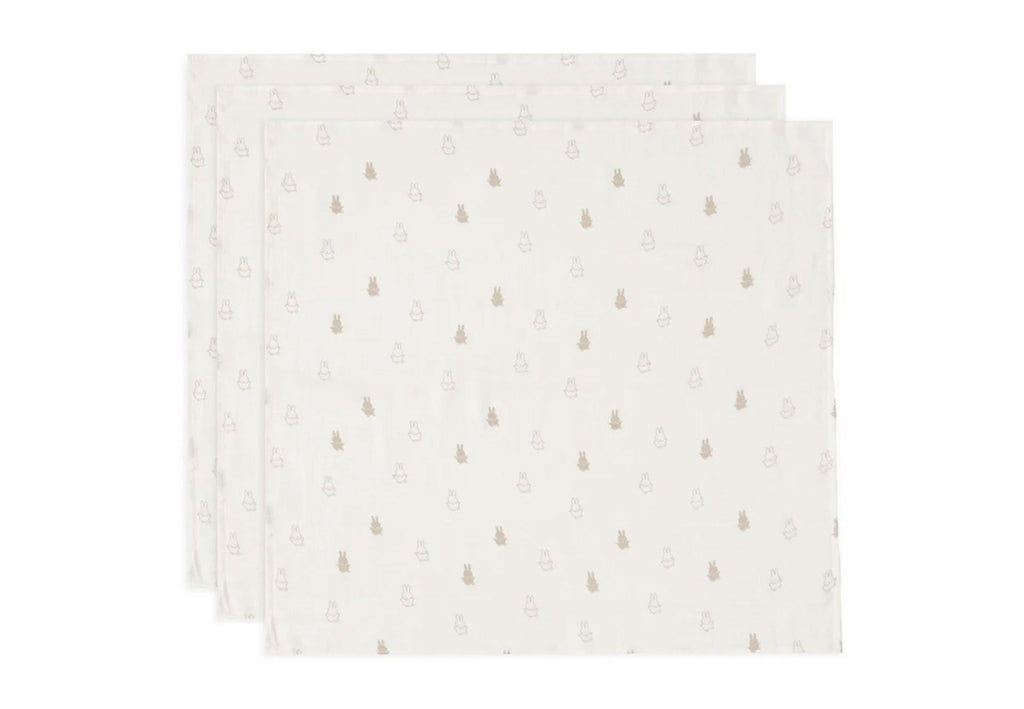 Baby Basics Box